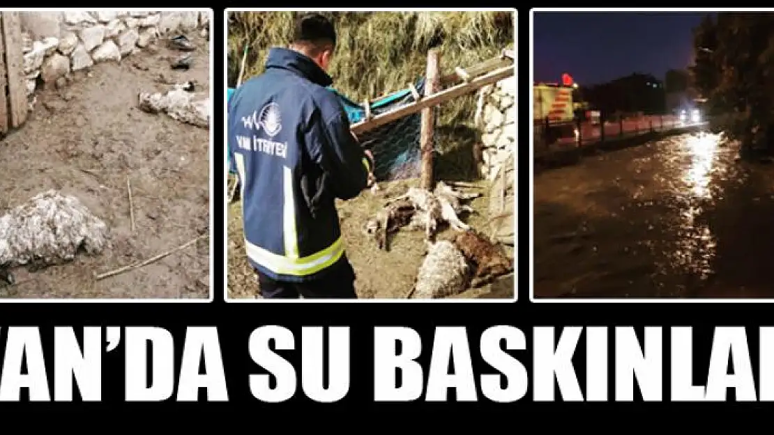 Van'da su baskınları