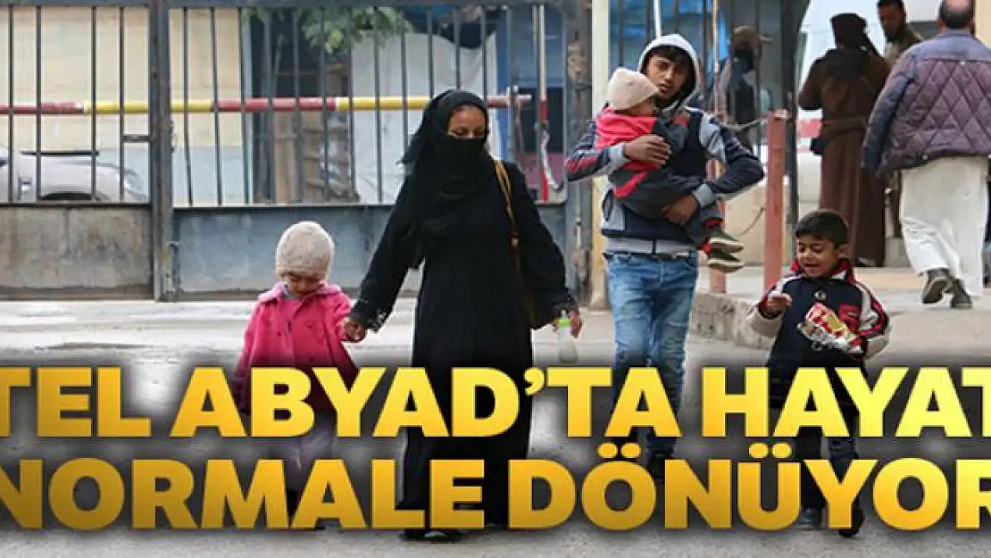 Tel Abyad'ta hayat normale dönüyor