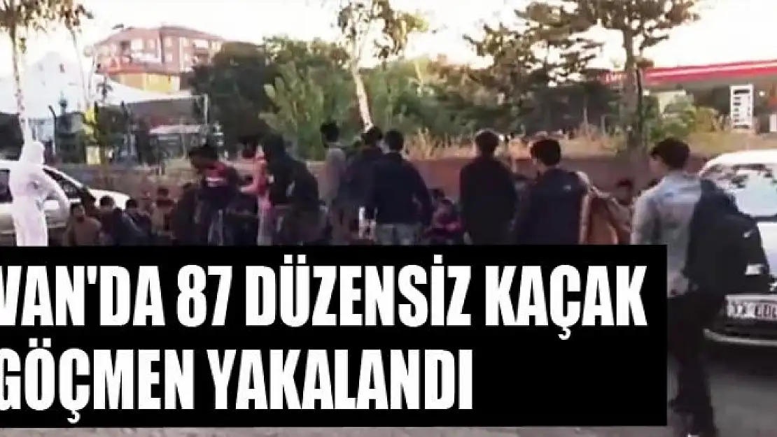 Van'da 87 düzensiz kaçak göçmen yakalandı