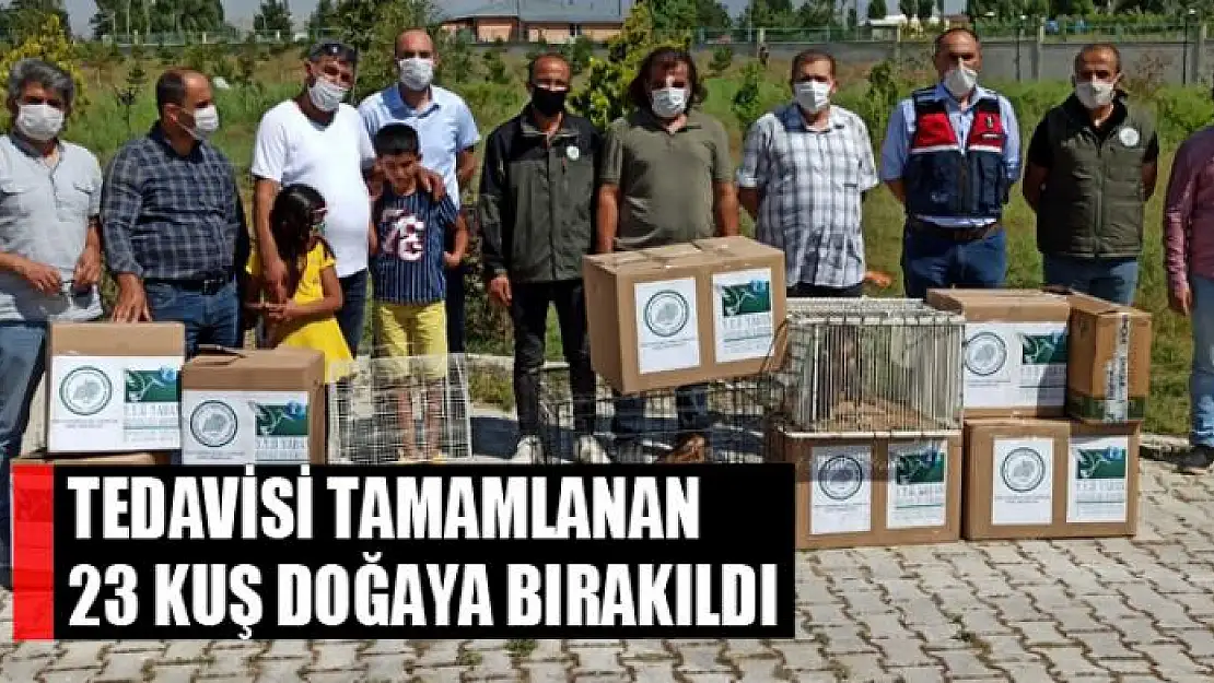 Tedavisi tamamlanan 23 kuş doğaya bırakıldı