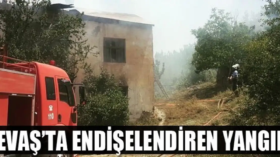 Gevaş'ta endişelendiren yangın