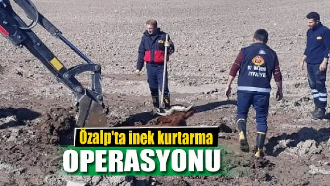 Özalp'ta inek kurtarma operasyonu