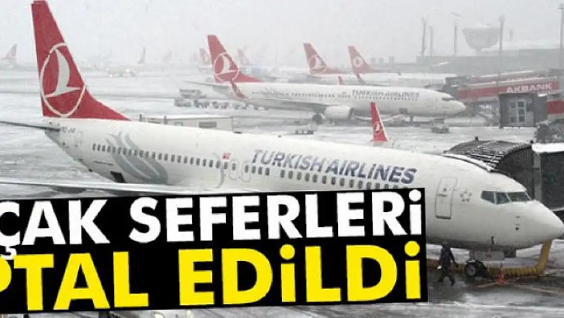 THY'de 146 sefer iptal edildi