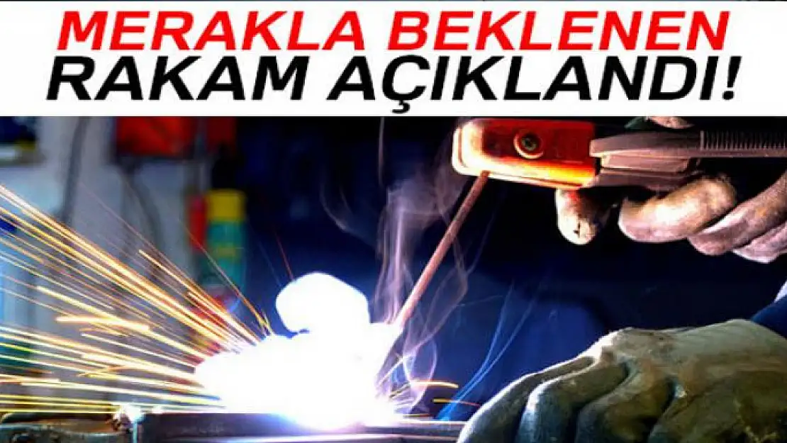 Aralık ayı işsizlik rakamları açıklandı