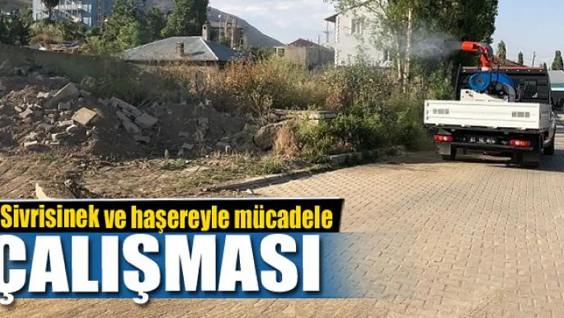 Başkale Belediyesinden sivrisinek ve haşereyle mücadele çalışması