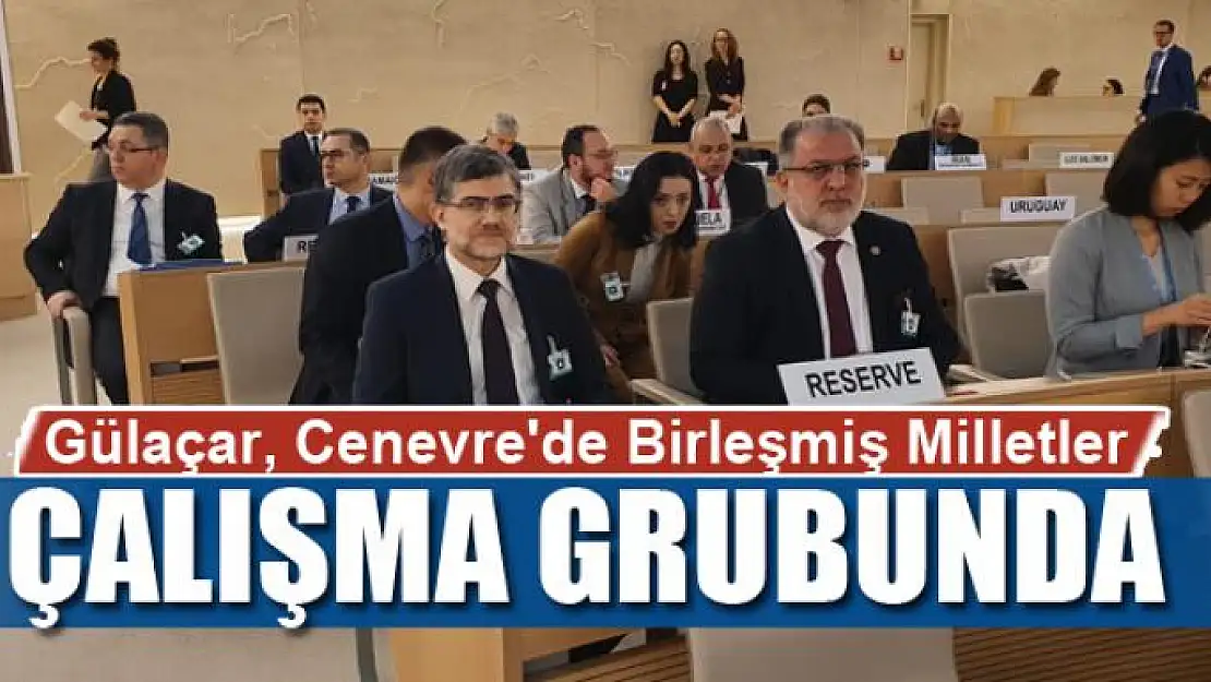 Gülaçar, Cenevre'de Birleşmiş Milletler Çalışma Grubunda