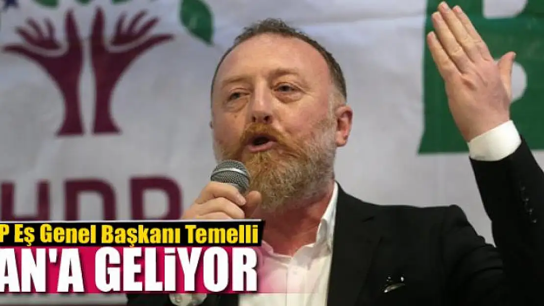 HDP Eş Genel Başkanı Temelli Van'a geliyor  