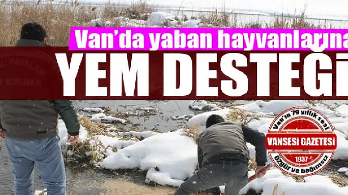 Van'da yaban hayvanlarına yem desteği