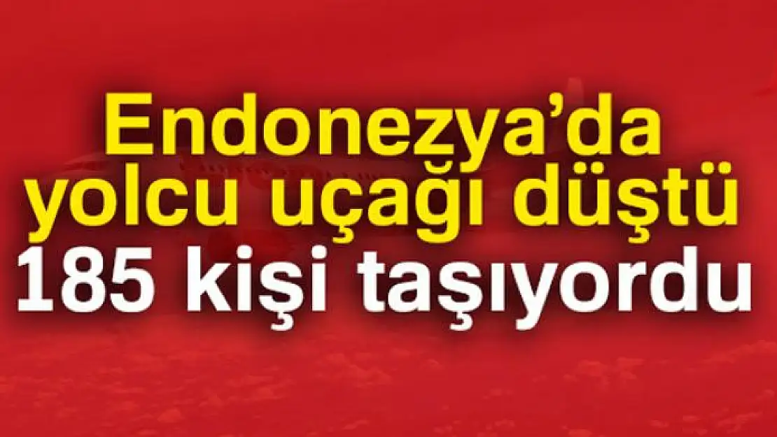 Endonezya'da yolcu uçağı düştü!