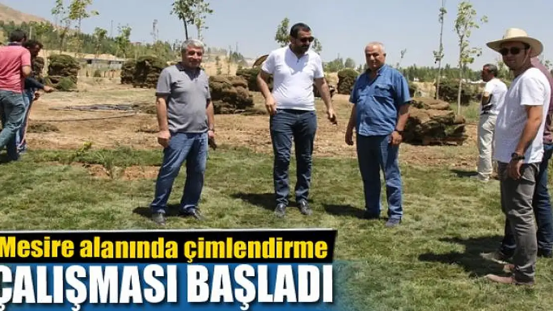 Mesire alanında çimlendirme çalışması 