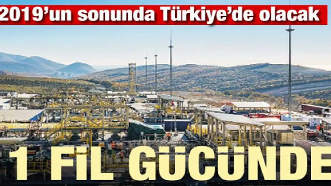 11 fil gücünde! 2019 sonunda Türkiye'de olacak