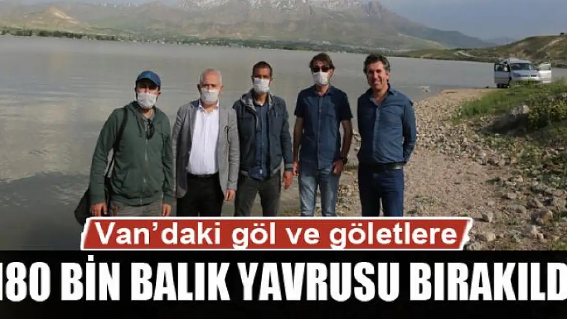 Van'daki göl ve göletlere 180 bin balık yavrusu bırakıldı