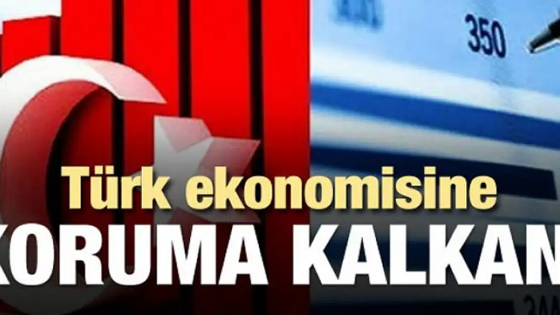 Ekonomiye koruma kalkanı