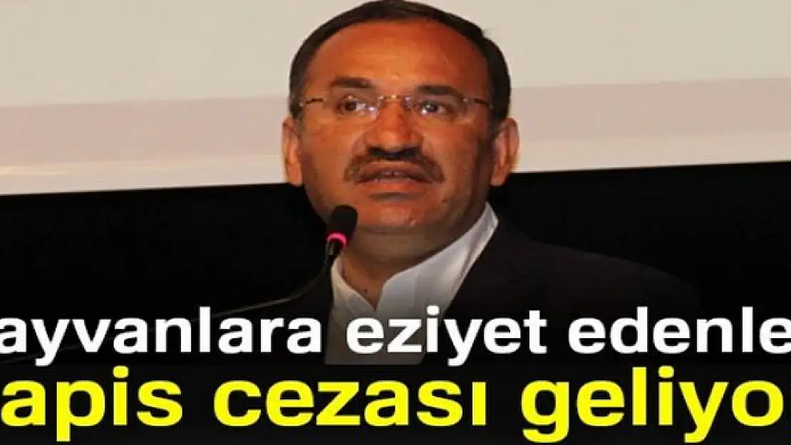 Bekir Bozdağ: 'Hayvanlara işkence ve eziyet yapanlara hapis cezası getirilecek'