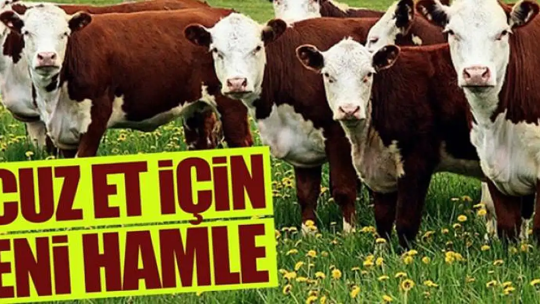 Ucuz et için yeni hamle