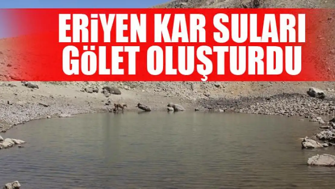 Eriyen kar suları gölet oluşturdu