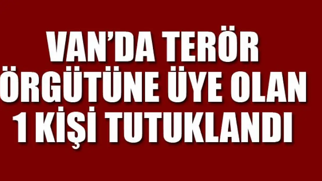 Van'da terör örgütüne üye olan 1 kişi tutuklandı