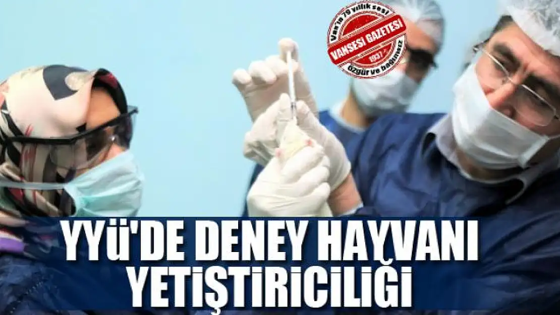 YYÜ'de deney hayvanı yetiştiriciliği