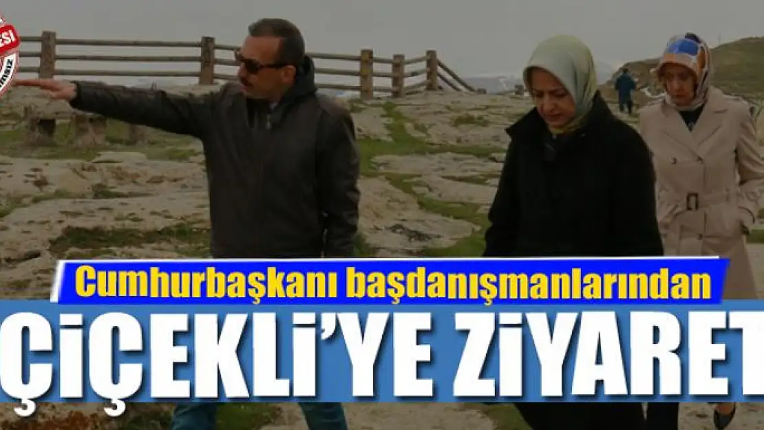 Cumhurbaşkanı başdanışmanlarından Çiçekli'ye ziyaret