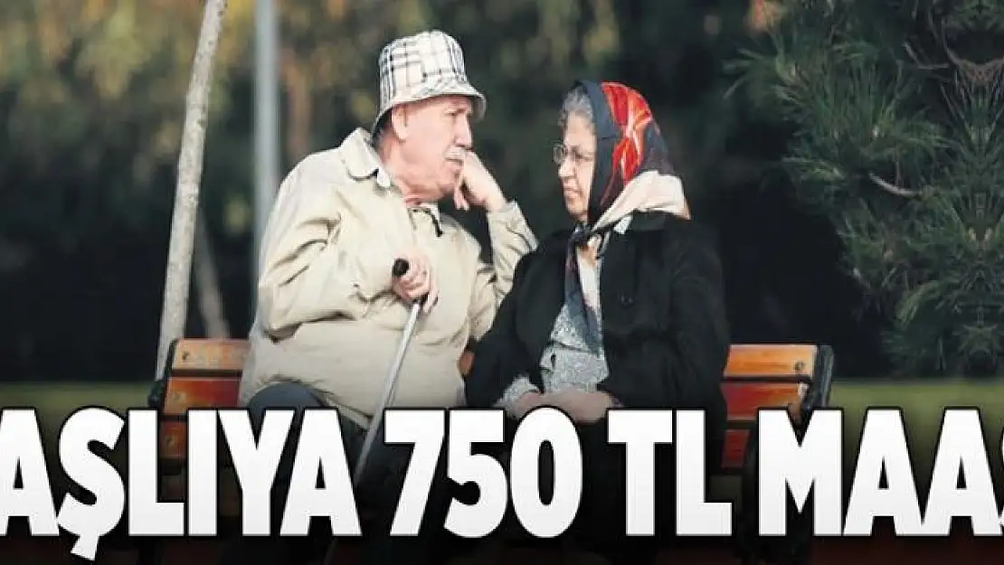 Yaşlıya 750 TL maaş  