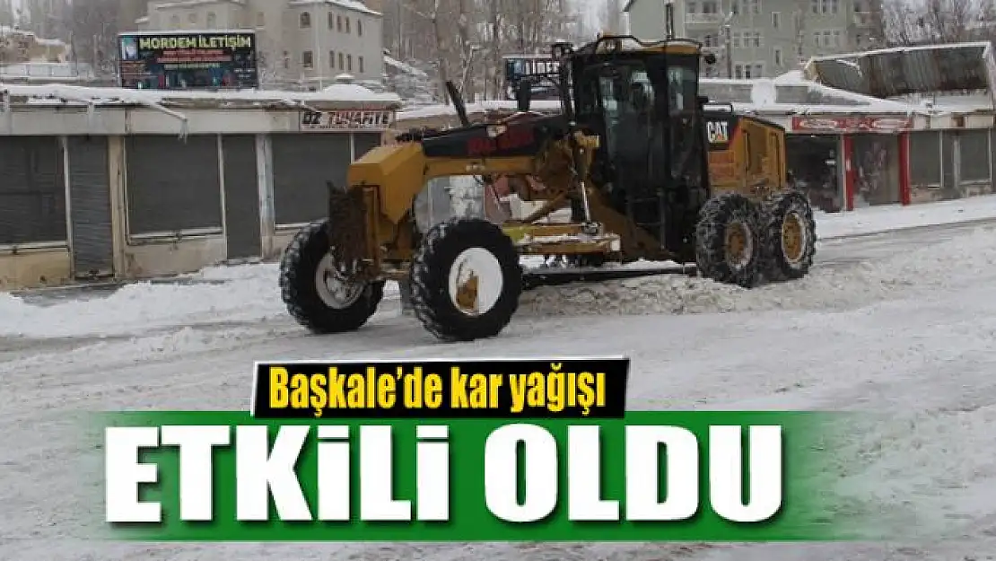 Başkale'de kar yağışı etkili oldu