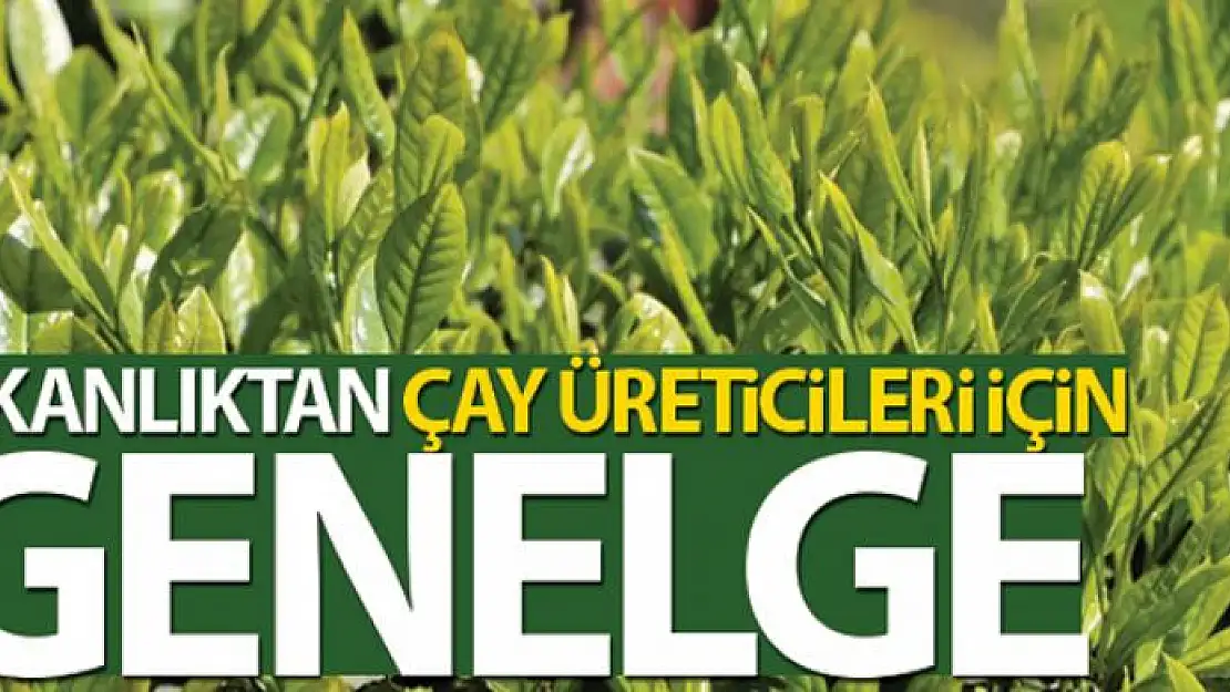 Bakanlıktan 81 ilin valiliğine, 'Çay üreticileri' için genelge