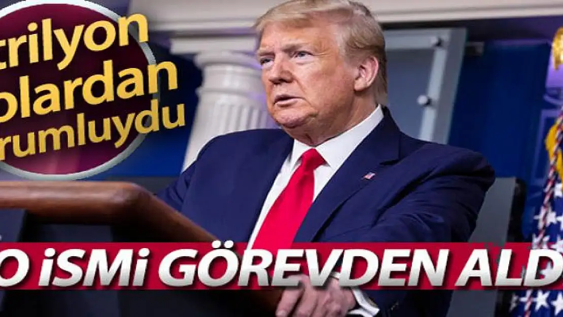 Trump, Pandemi ile Mücadele Denetleme Komitesi Başkanı Fine'ı görevden aldı