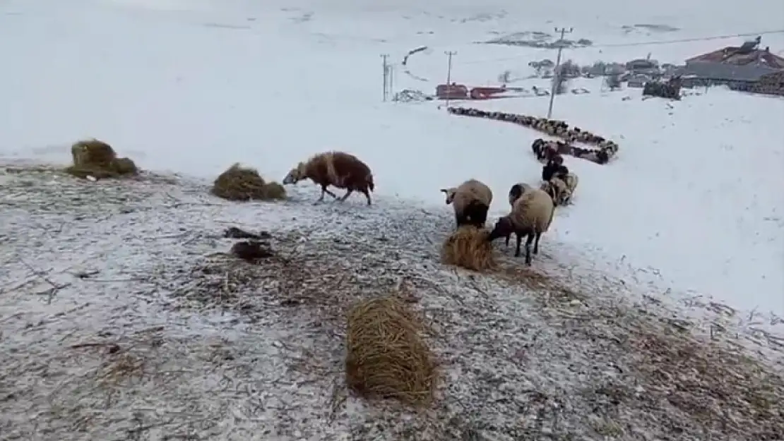 2 bin 150 rakımda zorlu kış mesaisi