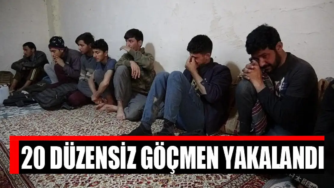 20 düzensiz göçmen yakalandı