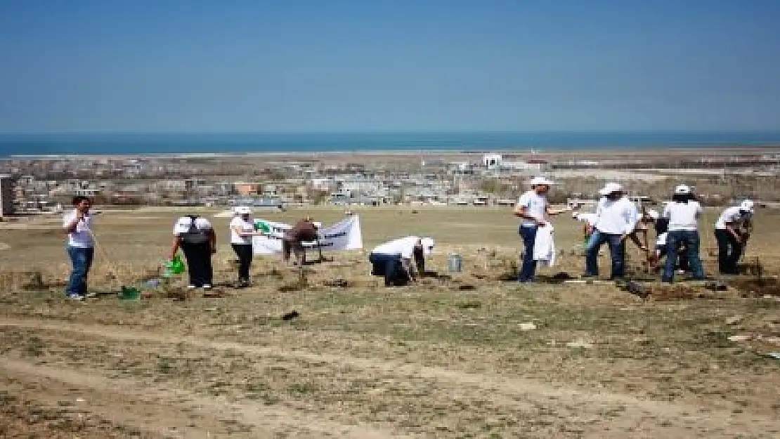 DEPREM ŞEHİTLERİ ANISINA HATIRA ORMANI