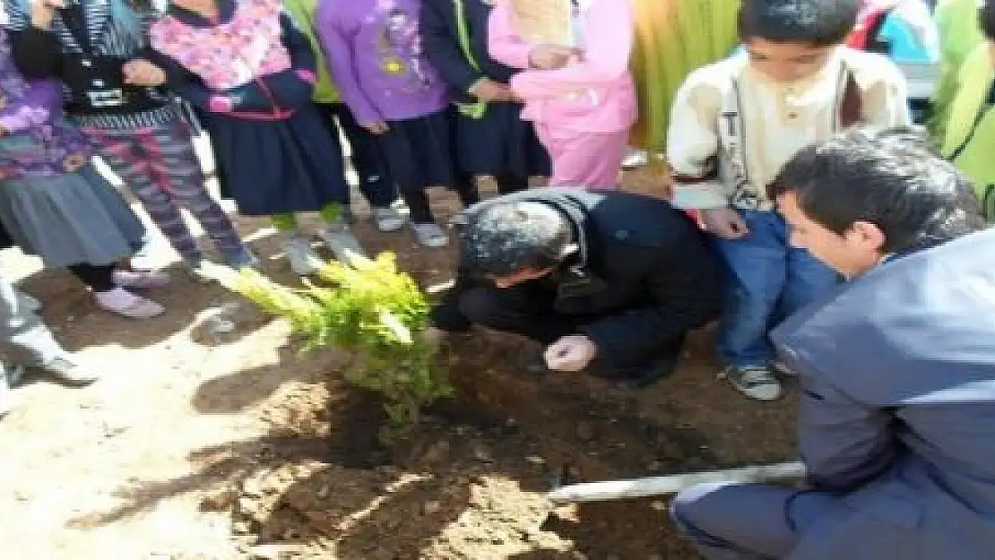 ÇALDIRAN'DA AĞAÇLANDIRMA ÇALIŞMASI