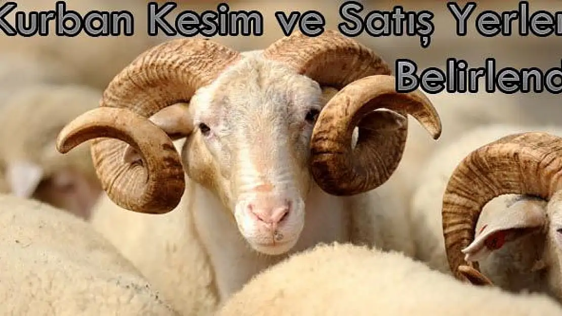 KURBAN SATIŞ VE KESİM YERLERİ BELİRLENDİ