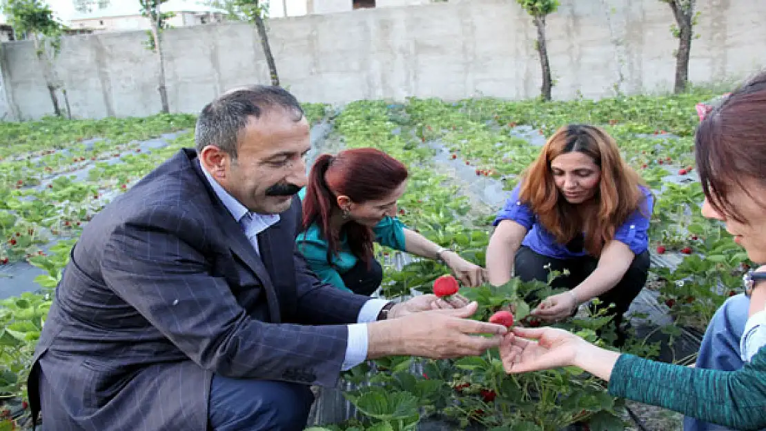 Eş Başkanlardan BİKAD ve KOOP'a Ziyaret 