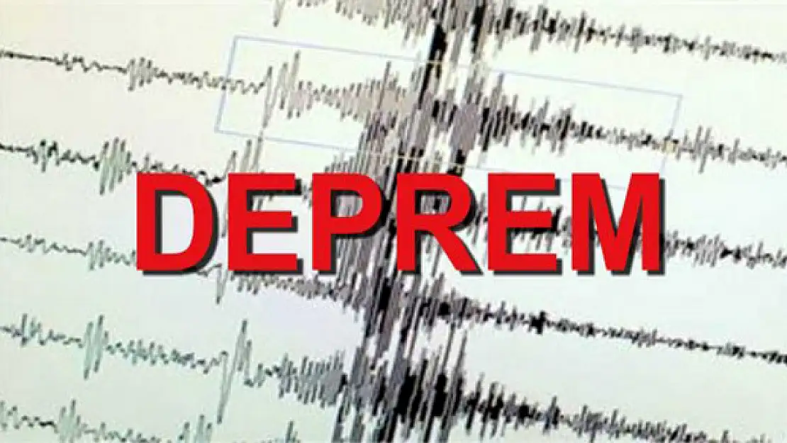 Van'da 4.0 Şiddetinde Deprem