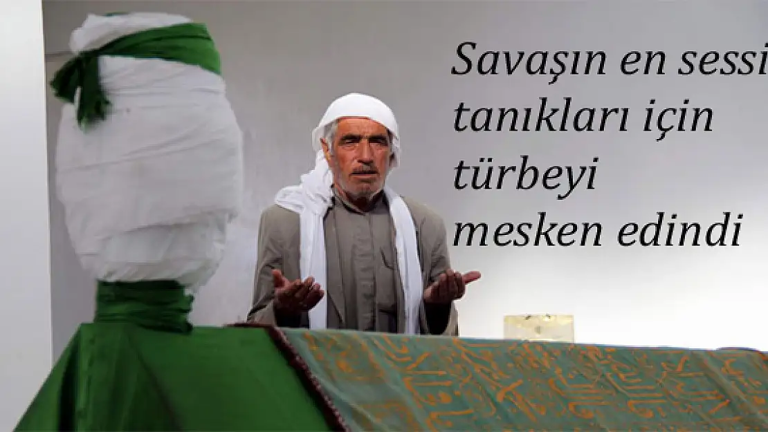 Savaşın en sessiz tanıkları için türbeyi mesken edindi