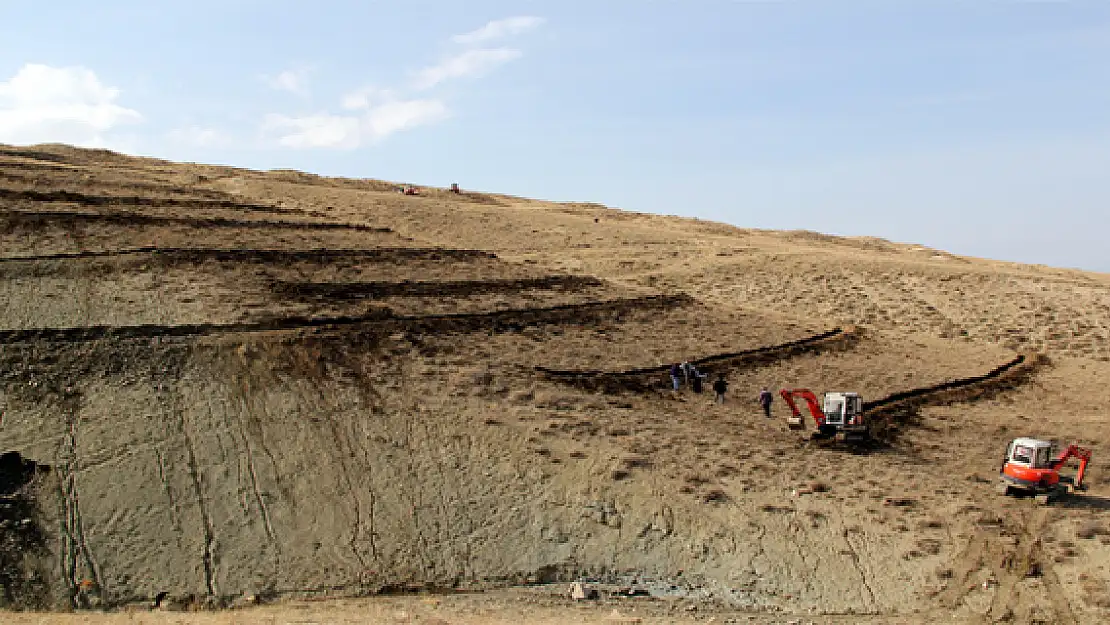 Kent Ormanı Kuruluyor