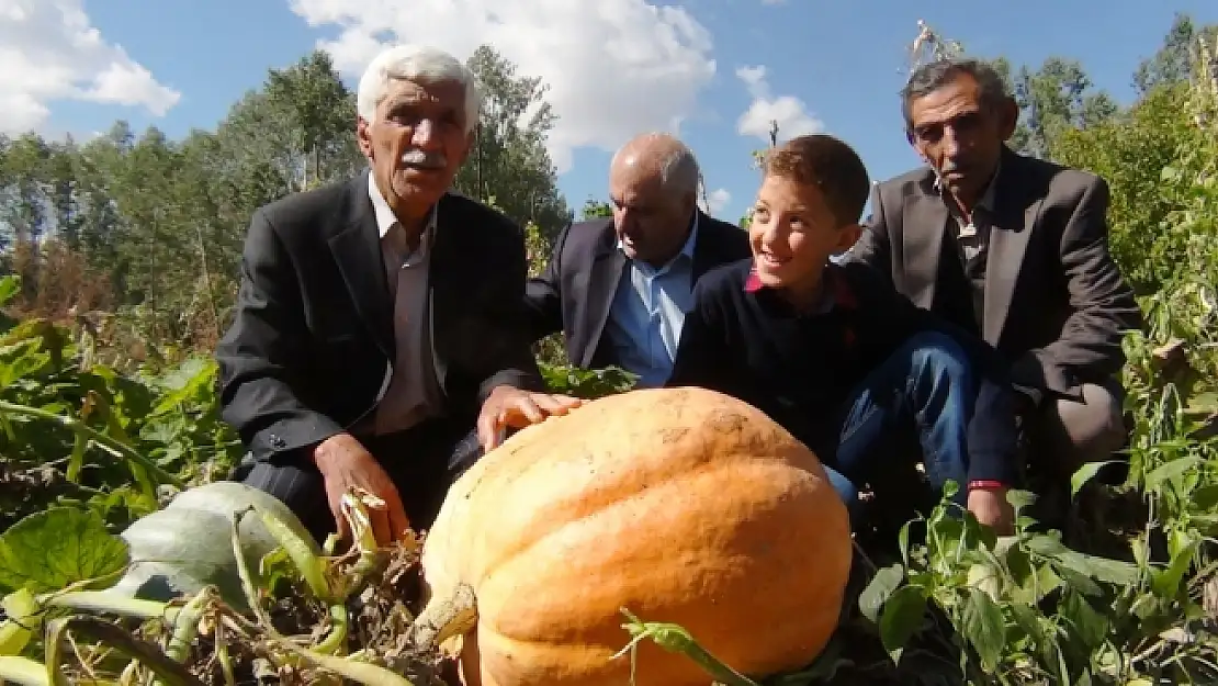 73 Kg ağırlığında bal kabağı yetiştirildi. 