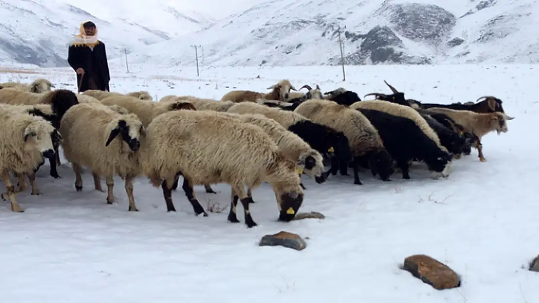 Köylülerin Tasarruf Tedbirleri