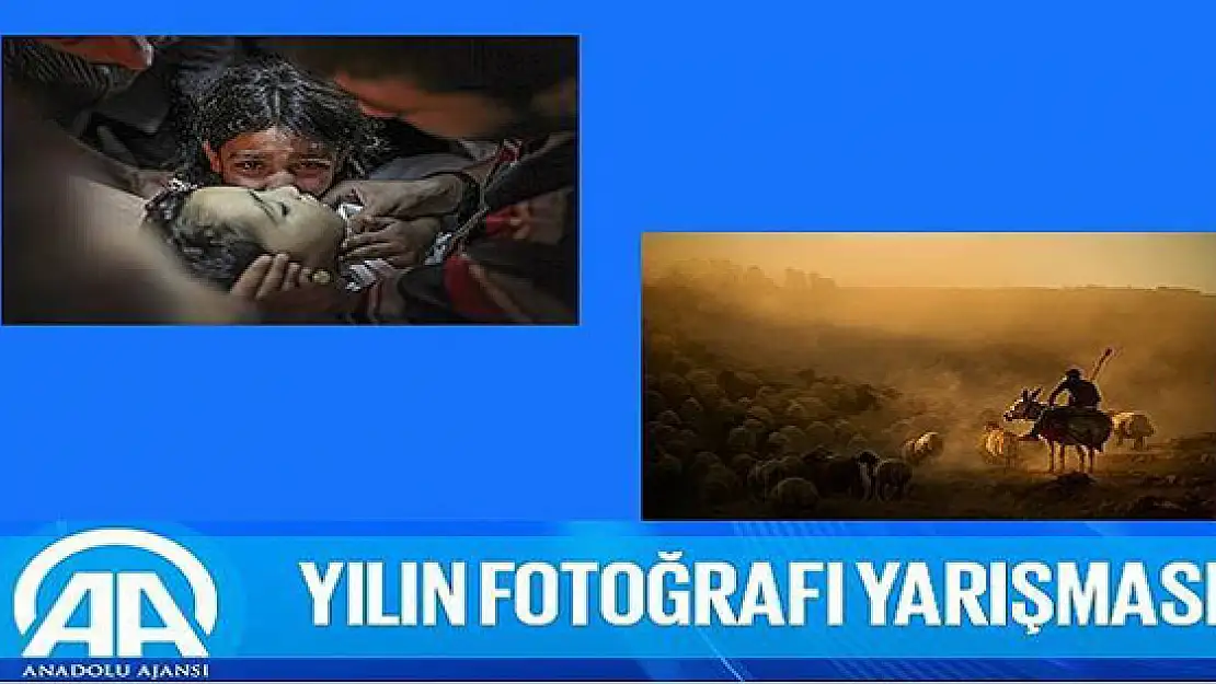 Yılın Fotoğraf Yarışmasında Özkan Bilgin Birinci Oldu