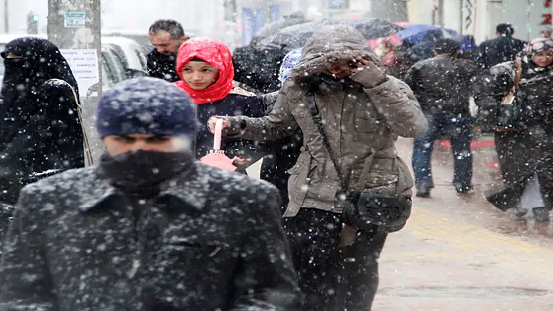 Van'da Salı Gününe Kadar Kar Yağışı Var