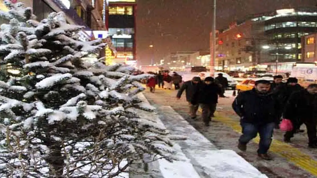 Van'da Kar Yağışı Hayatı Olumsuz Etkiledi 