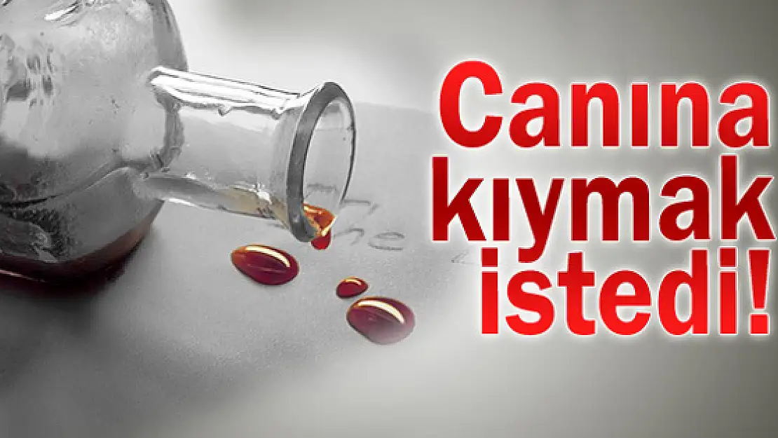 Van'da İntihar Girişimi