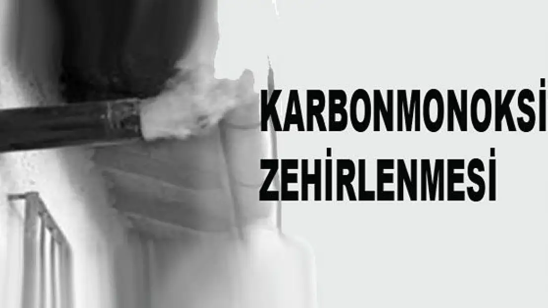 Van'da Karbonmonoksit Zehirlenmesi