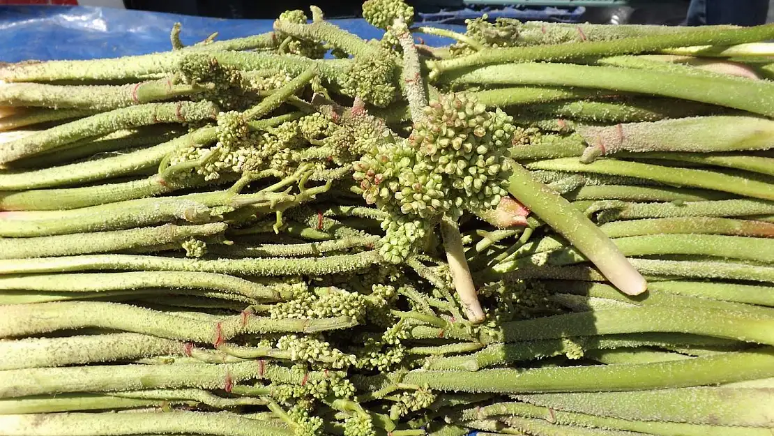 Yayla Muzu Uçkun Tezgahlardaki Yerini Aldı