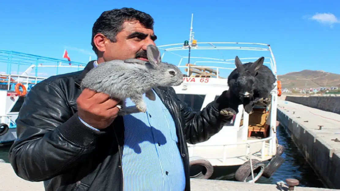 Akdamar Adası Tavşanlardan Tahliye Ediliyor