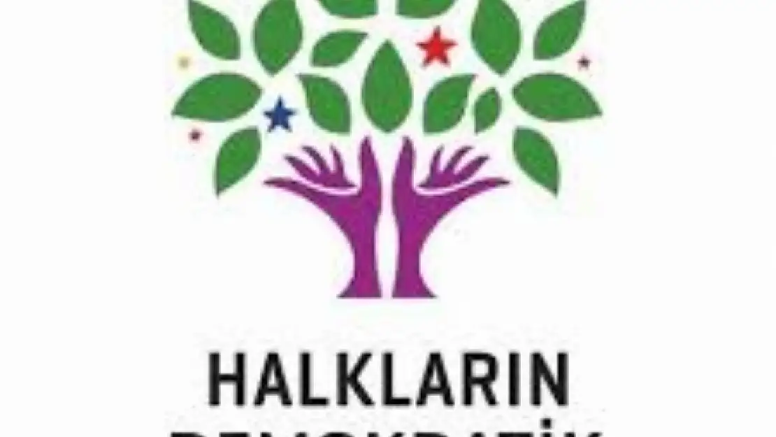 TBMM'de ilk soru önergesi HDP'den