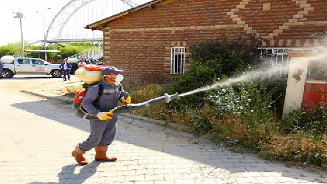 Edremit İlçesinde Sineklere Karşı İlaçlama Çalışması