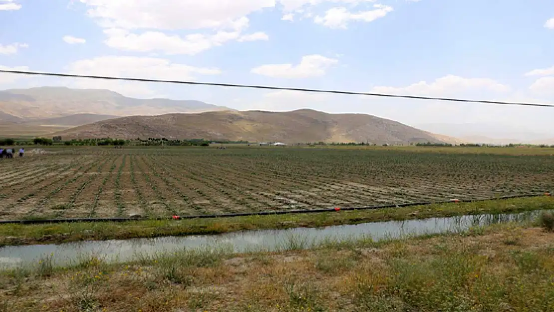 Gürpınar Belediyesinden Seracılık Projesi