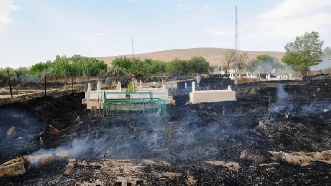 Sigara izmariti mezarlığı küle çevirdi