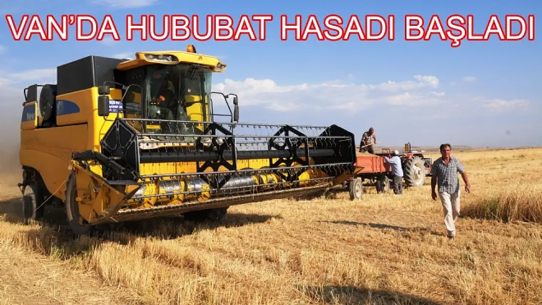 Vanda Hububat Hasadı Başladı 